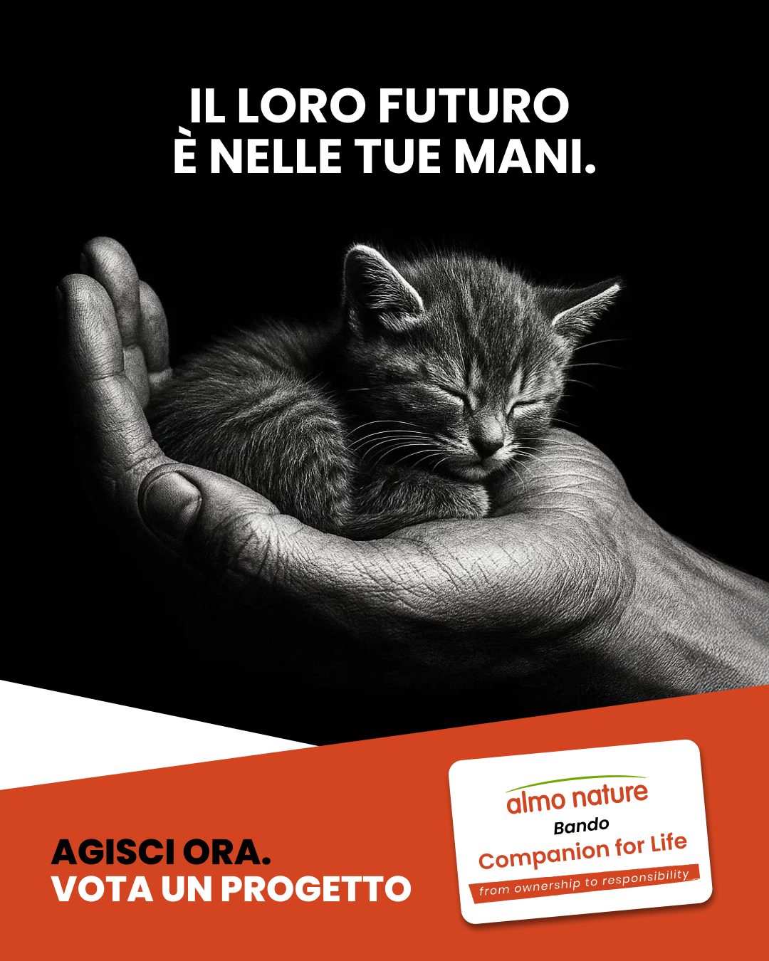 almo nature bando 526741489_1168382305333999_7541445982881836748_n - copia